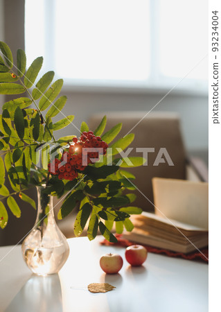 autumn still life with a rowan branch in a vase, book and apples in a cozy home interior autumn still life with a rowan branch in a vase, book and apples in a cozy home interior 93234004