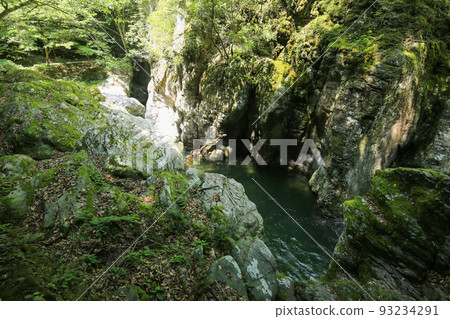 愛媛縣戶部町千場溪谷風光 愛媛縣戶部町千場溪谷風光 93234291