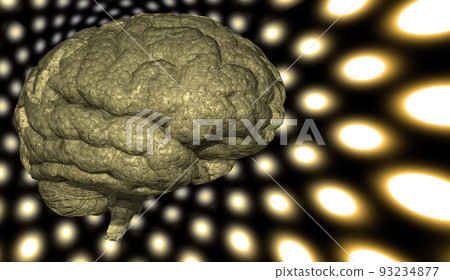 Brain 93234877