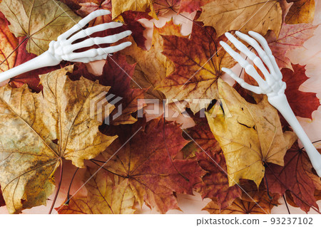 Fall Halloween flat lay with monster skeleton hands on red and yellow leaves, autumn background. Happy Halloween banner mock-up. Top view, copy space Fall Halloween flat lay with monster skeleton hands on red and yellow leaves, autumn background. Happy Halloween banner mock-up. Top view, copy space 93237102