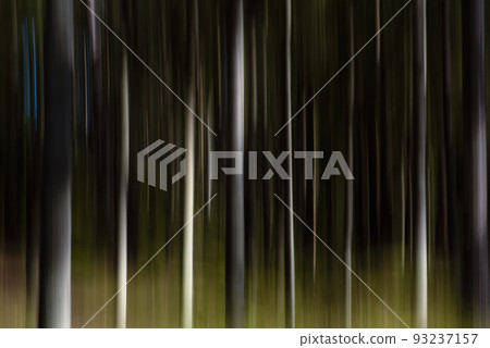 Atmospheric mystic abstract forest. Intentional blur, special effect, achieved by moving camera during long exposure. Atmospheric mystic abstract forest. Intentional blur, special effect, achieved by moving camera during long exposure. 93237157