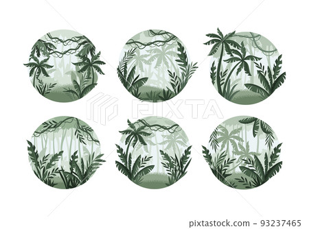 Exotic Tropical Rainforest Landscape with Palm Trees Vector Set Exotic Tropical Rainforest Landscape with Palm Trees Vector Set 93237465