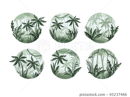Exotic Tropical Rainforest Landscape with Palm Trees Vector Set Exotic Tropical Rainforest Landscape with Palm Trees Vector Set 93237466