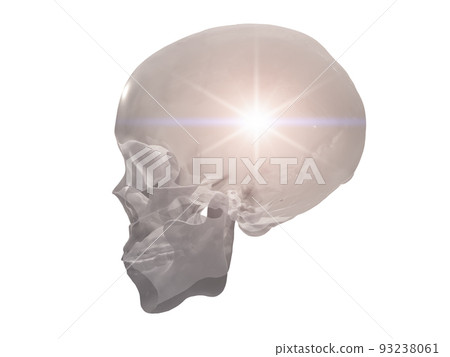 Crystal Skull 93238061
