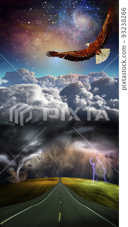 Above the storm Above the storm 93238266