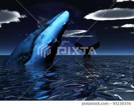 Whale 93238356