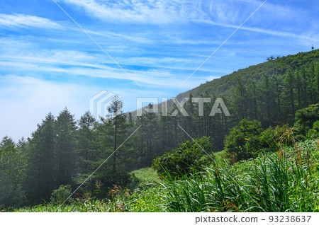 (Fukushima Prefecture) Sunny summer sky and Mt. Adatara 93238637