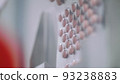 Process of production of pills 93238883