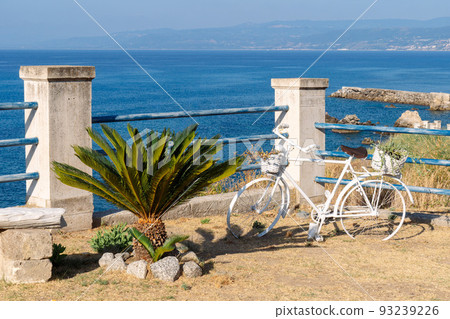 Small palm tree and old bycicle with flower decoration on calabria seaside 93239226