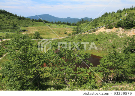 射箭池 射箭池 93239879