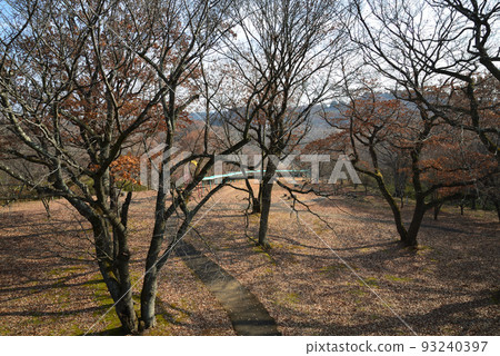 北山公園 2021-12-12 #22 93240397