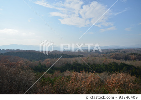 北山公園 2021-12-12 #27 北山公園 2021-12-12 #27 93240409