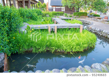 Shiroijuku Nature and History Village Garden Roadside Station Komochi Early Summer Scenery Shibukawa City 93240683