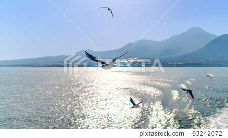 The view from the ferry "Seagulls, seabirds, and wild birds with Mt. Unzen Fugen in the background" 93242072