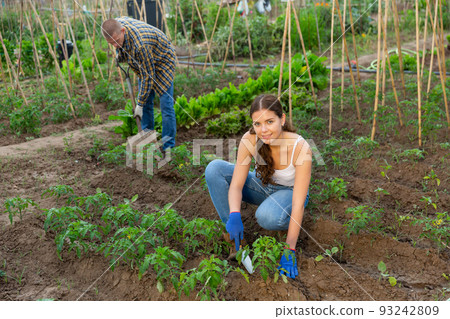 Woman with little girl watering plants in garden closeup Woman with little girl watering plants in garden closeup 93242809