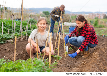 Mother and daughter working in garden Mother and daughter working in garden 93242926