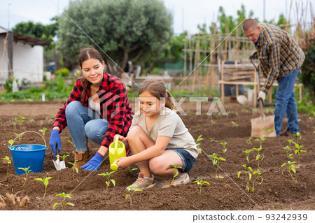 Woman with little girl watering plants in garden closeup Woman with little girl watering plants in garden closeup 93242939
