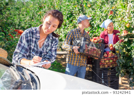 Asian woman farmer standing with papers in garden during apple harvest 93242941