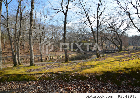 Kitayama Park 2021-12-12 #55 93242983
