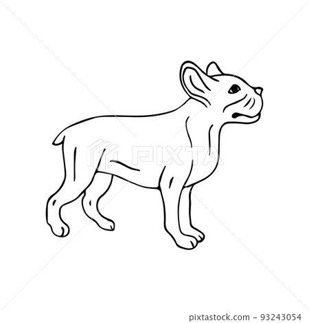 Vector hand drawn doodle sketch french bulldog Vector hand drawn doodle sketch french bulldog 93243054