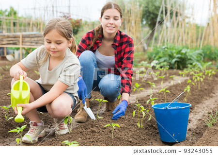 Woman with little girl watering plants in garden closeup Woman with little girl watering plants in garden closeup 93243055
