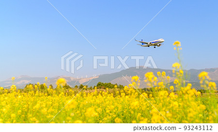 A field of rape blossoms and an airplane view against the backdrop of a clear spring sky and Mt. Aso A field of rape blossoms and an airplane view against the backdrop of a clear spring sky and Mt. Aso 93243112