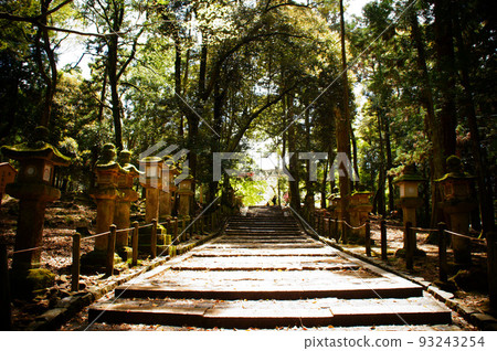 Nara City, Nara Prefecture, the approach to Kasuga Taisha Shrine lined with old stone lanterns_01 Nara City, Nara Prefecture, the approach to Kasuga Taisha Shrine lined with old stone lanterns_01 93243254