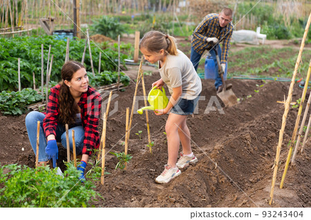 Woman with little girl watering plants in garden closeup Woman with little girl watering plants in garden closeup 93243404