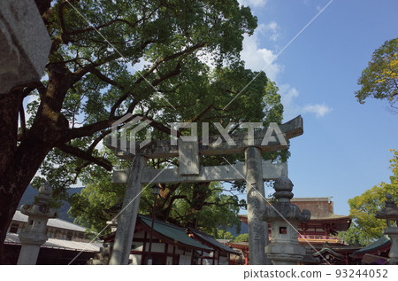 Torii and tree_Dazaifu Tenmangu Shrine Torii and tree_Dazaifu Tenmangu Shrine 93244052