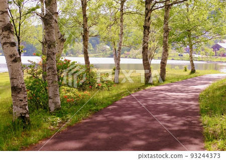 Shirakabako 93244373