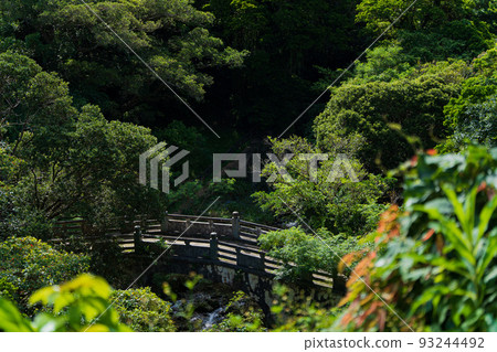 Bridge in the forest 2 Bridge in the forest 2 93244492