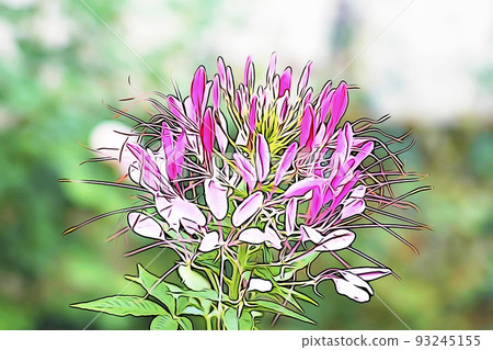 Pastel style ``Seiyou-fucho-sou'' illustration image 93245155