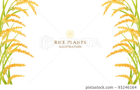 稻穗的彩色插圖（水平佈局） 93246164
