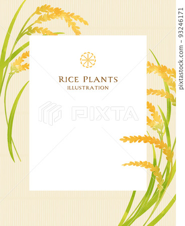 稻穗的彩色插圖(消息框架) 稻穗的彩色插圖(消息框架) 93246171