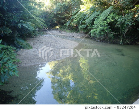 Okuma River Northern Main Island Okinawa Okinawa River Play Trekking 93247204