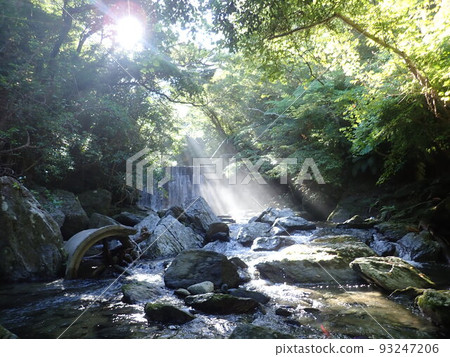 Okuma River Northern Main Island Okinawa Okinawa River Play Trekking 93247206