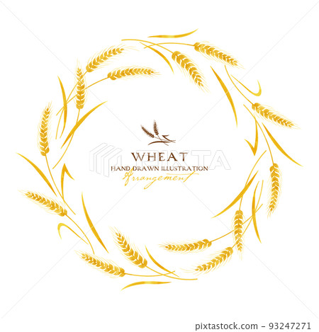小麥水彩彩色插圖（花圈） 93247271