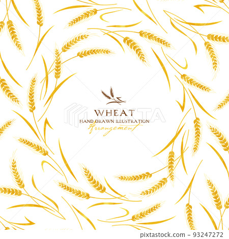 Wheat watercolor color illustration (arrangement) Wheat watercolor color illustration (arrangement) 93247272