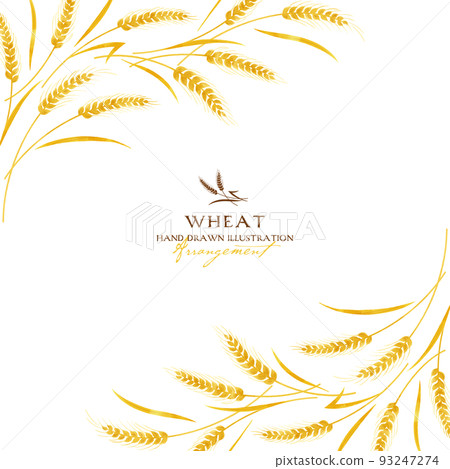 Wheat watercolor color illustration (frame title) 93247274