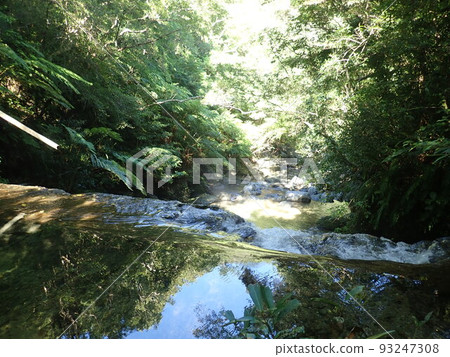 大隈川徒步沖繩北部沖繩河玩河 大隈川徒步沖繩北部沖繩河玩河 93247308