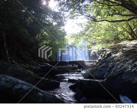Okuma River trekking Northern Okinawa Okinawa river play river 93247314