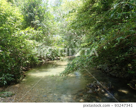 Okuma River trekking Northern Okinawa Okinawa river play river Okuma River trekking Northern Okinawa Okinawa river play river 93247341