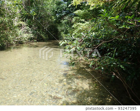 Okuma River trekking Northern Okinawa Okinawa river play river 93247395