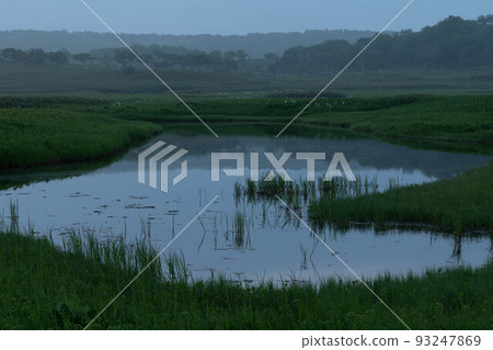 黎明前的雨沼濕地池糖 黎明前的雨沼濕地池糖 93247869