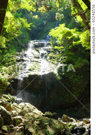 Hiryu Falls (Sayo Town, Hyogo Prefecture) Hiryu Falls (Sayo Town, Hyogo Prefecture) 93248556