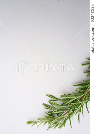 迷迭香藍色背景 迷迭香藍色背景 93248559
