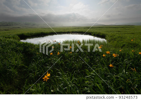 Uryunuma Wetland Ezozenteika 在糖池的岸邊 93248573