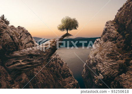 A small tree is growing on a huge log between mountains. Unrealistic fantasy and miracles of the nature concept A small tree is growing on a huge log between mountains. Unrealistic fantasy and miracles of the nature concept 93250618