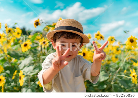 向日葵田和孩子 93250856