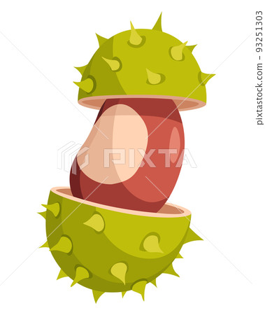 Chestnuts cracked shell with prickles. Vector illustration. Design element for poster, packaging, banner and wrapping paper 93251303